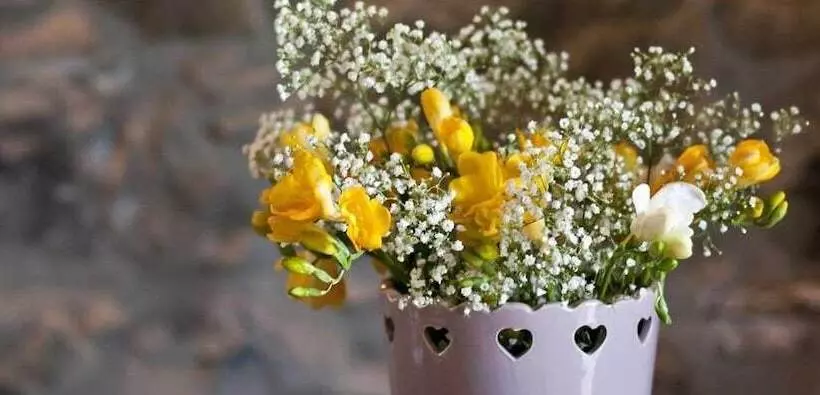 Maaseutuhotelli Agriresort Le Porcine