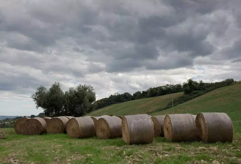 Maaseutuhotelli Societa Agricola Zucchera S.s