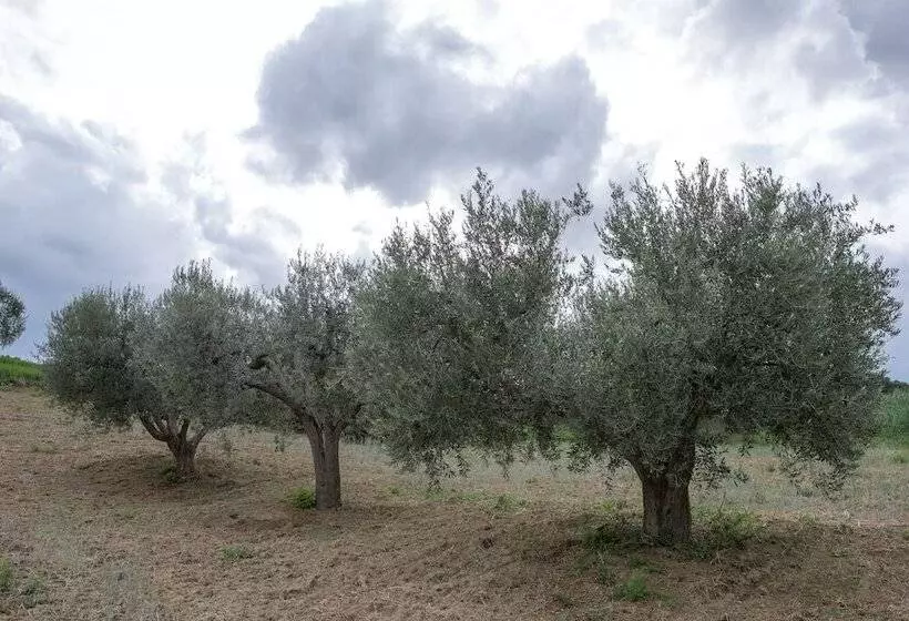 Maaseutuhotelli Societa Agricola Zucchera S.s