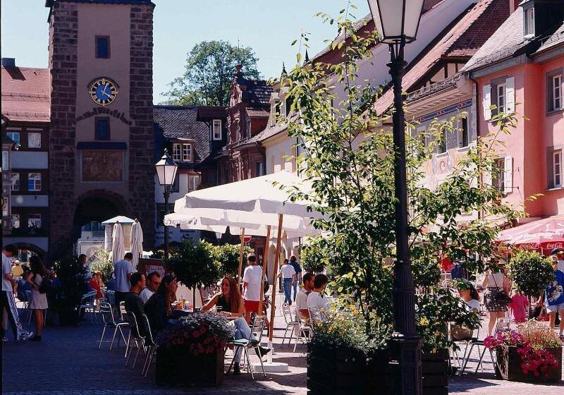 Dormero Hotel Villingen Schwenningen
