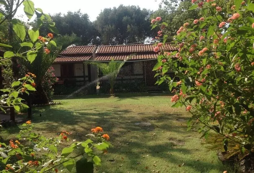 هتل Camping Scogliera Azzurra