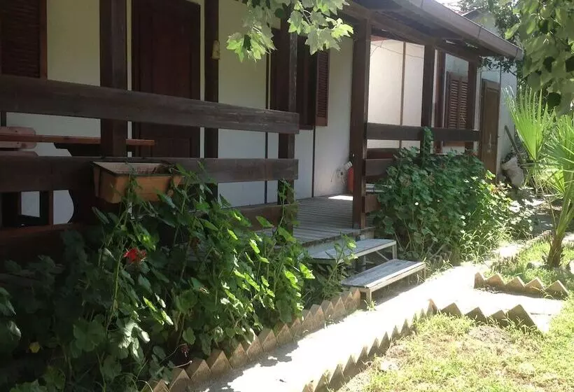 هتل Camping Scogliera Azzurra