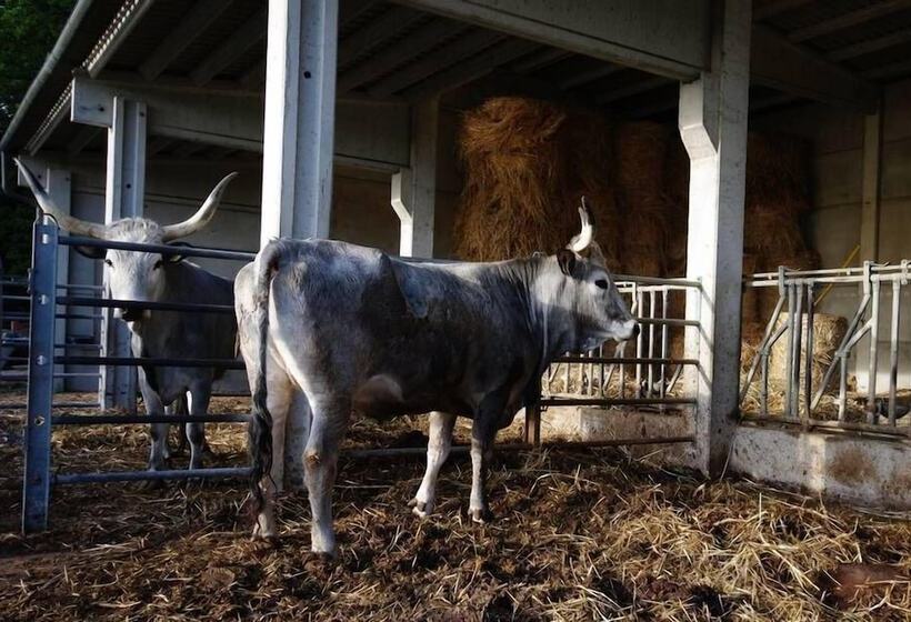 田舎風ホテル La Poderina