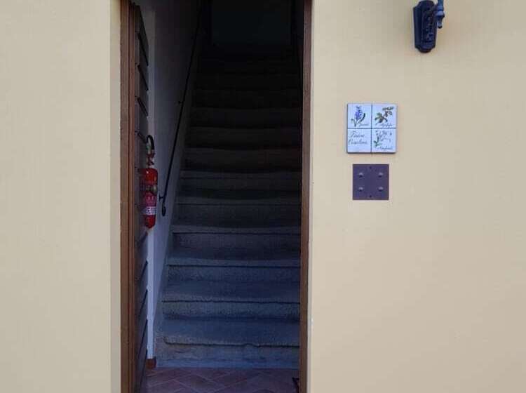 田舎風ホテル Agriturismo Podere Casalone