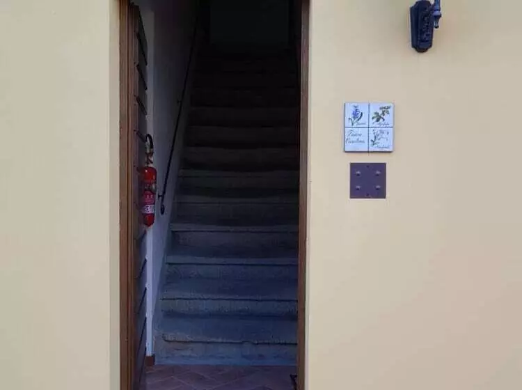 Maaseutuhotelli Agriturismo Podere Casalone