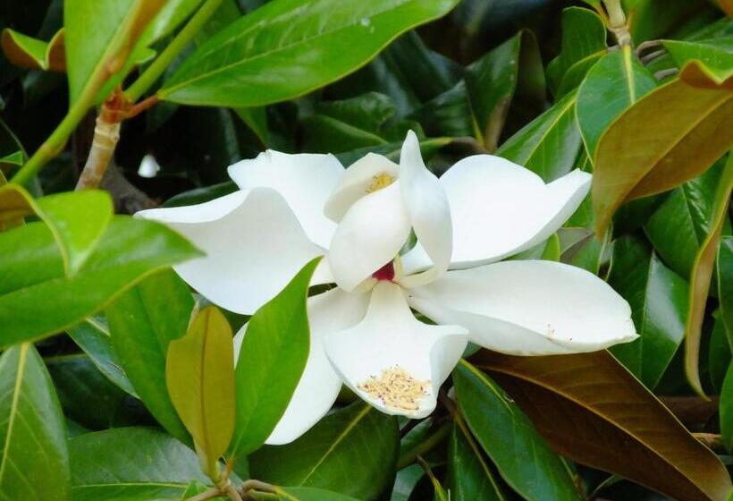 فندق ريفى Agriturismo Sant Uberto