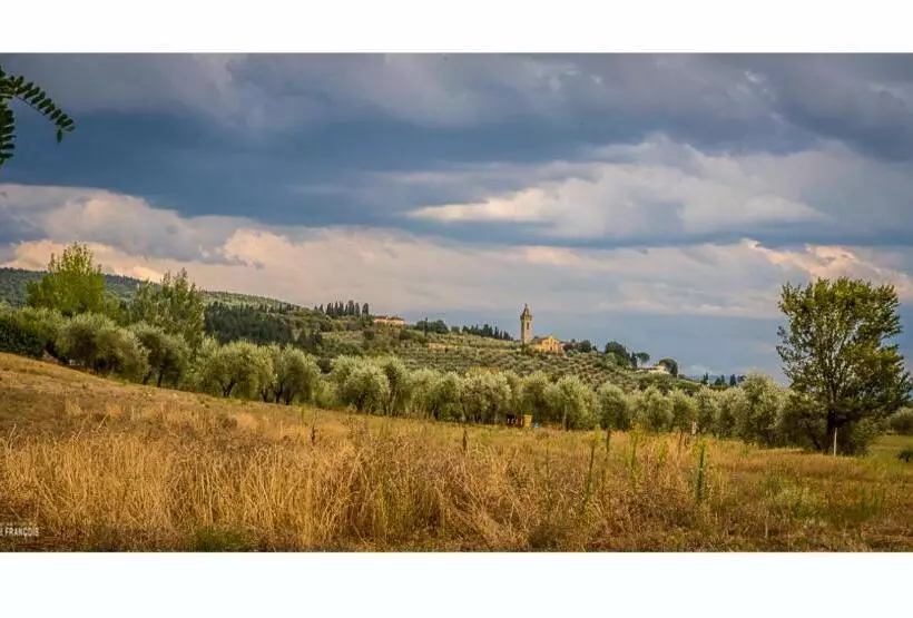 田舎風ホテル Bioagriturismo Podere Montisi