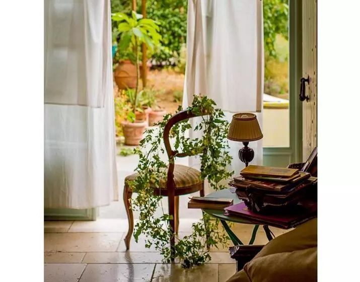 田舎風ホテル Bioagriturismo Podere Montisi