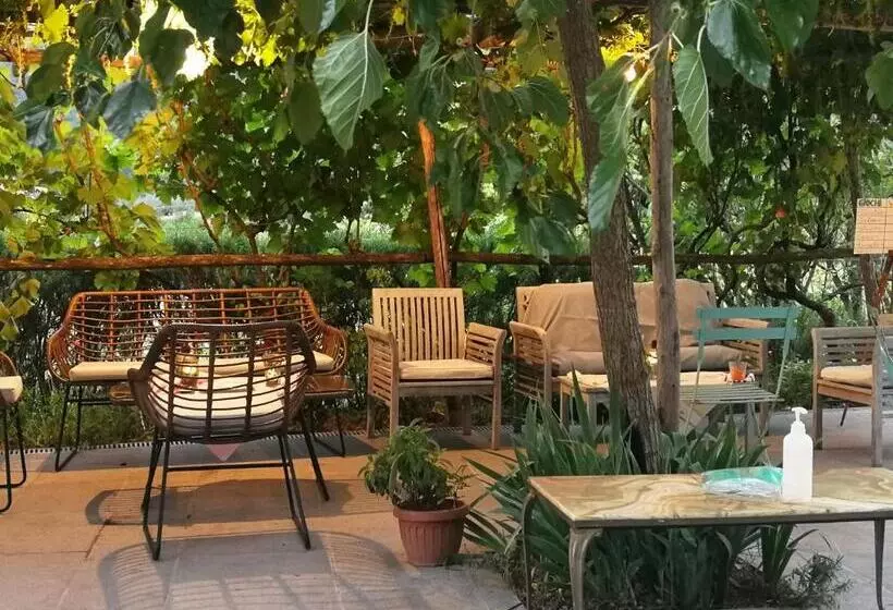 田舎風ホテル Bioagriturismo Podere Montisi