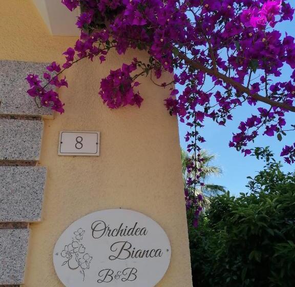 Orchidea Bianca B&b