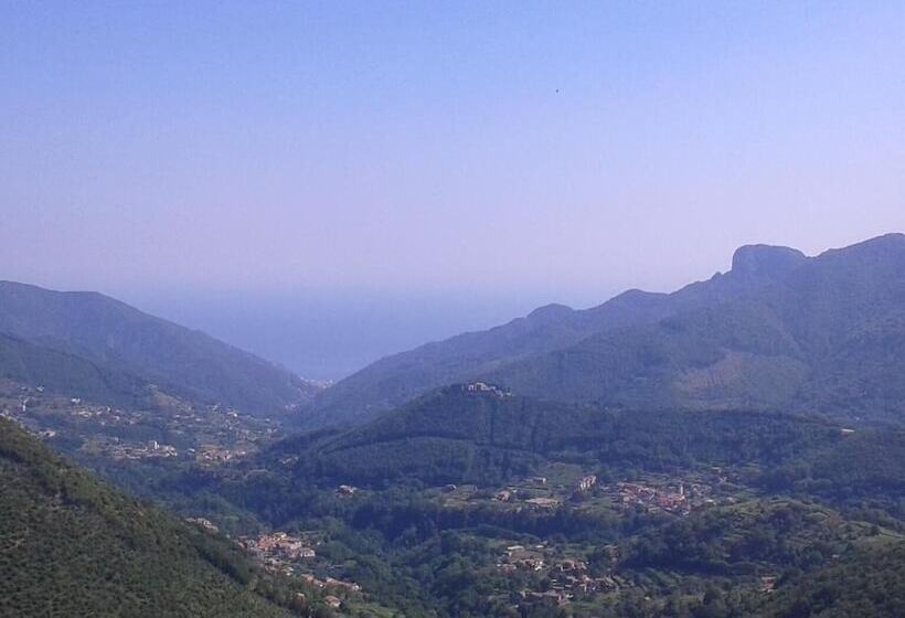 膳宿费 Villa Bianca