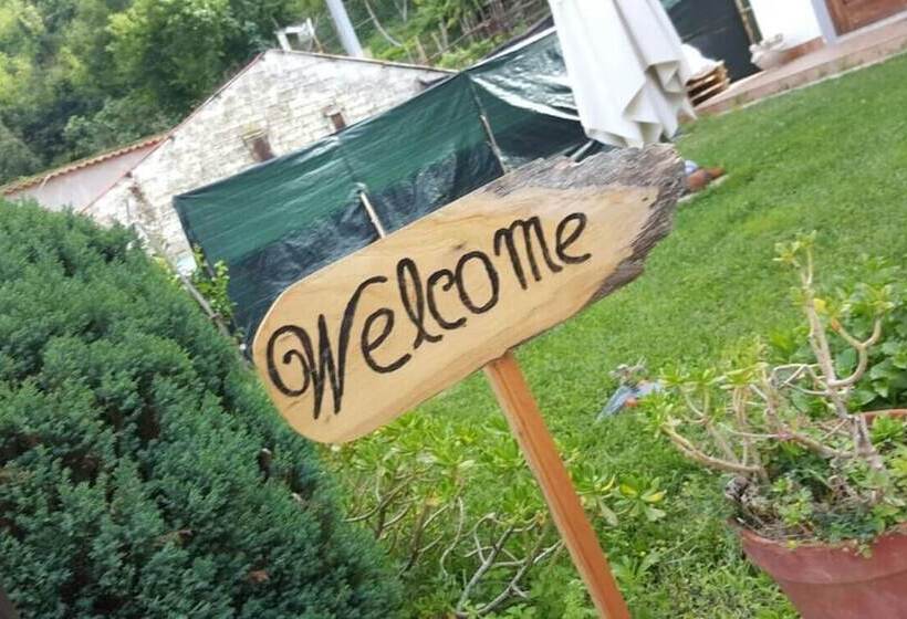 膳宿费 Villa Bianca