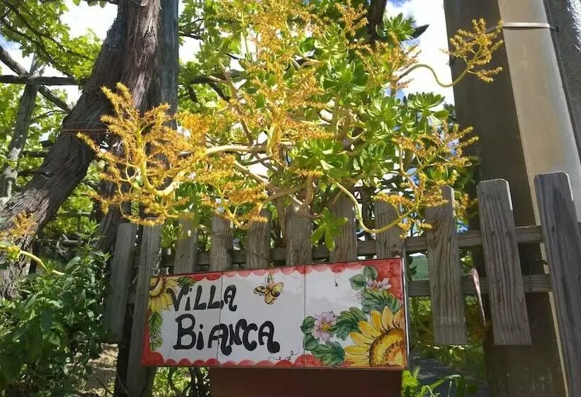 ペンション Villa Bianca