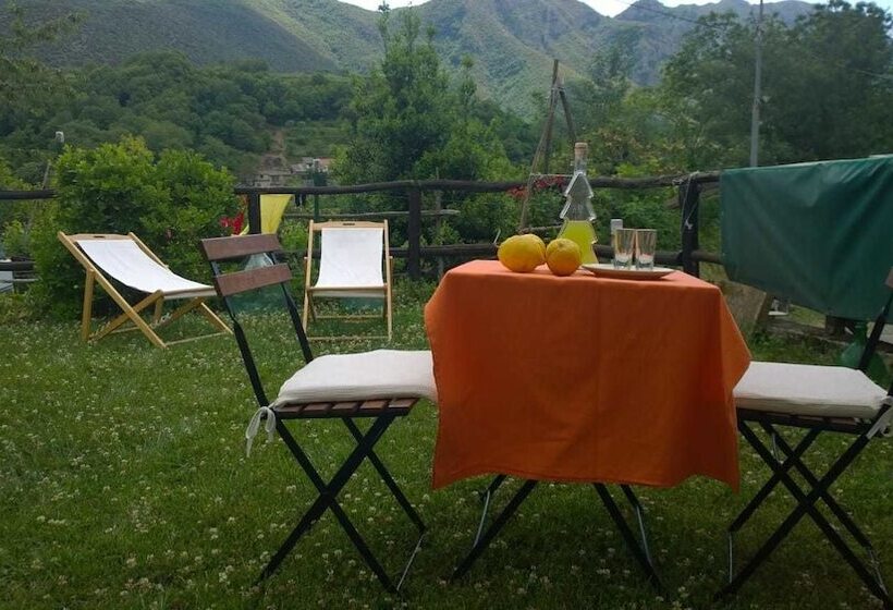 膳宿费 Villa Bianca