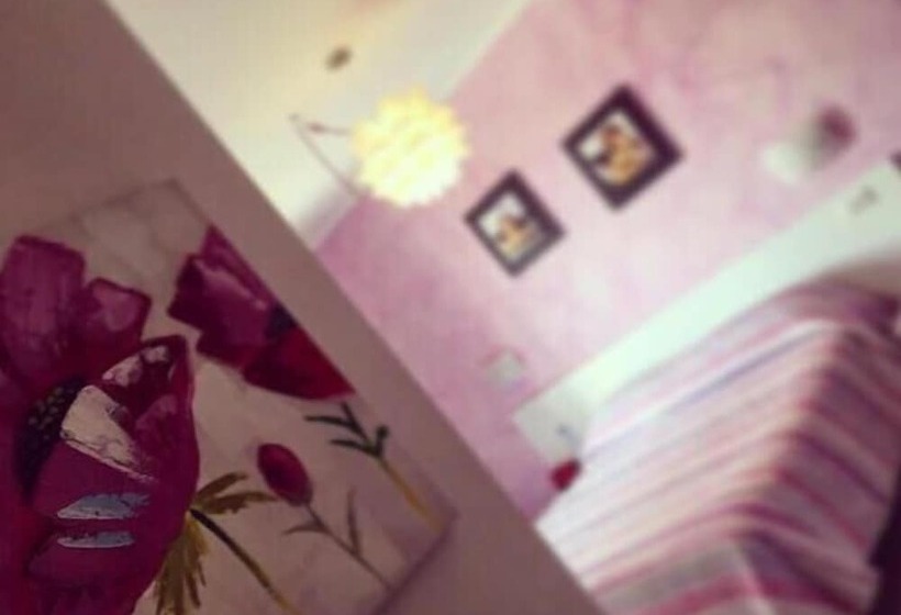 住宿加早餐  Lolly