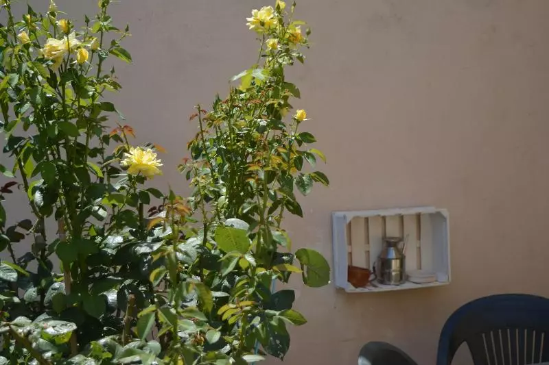 Aamiaismajoitus (B&B) Villa Felice