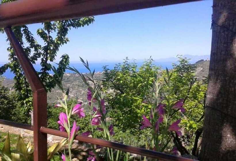 B&b Il Giardino Di Armida