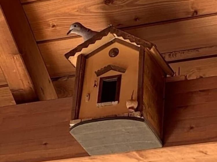 민박 I Quattroventi