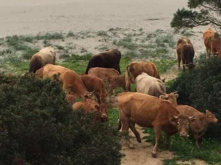 민박 I Quattroventi