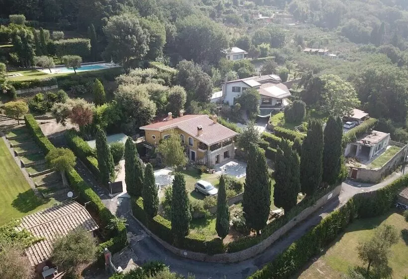 Aamiaismajoitus (B&B) Il Nido Del Falco