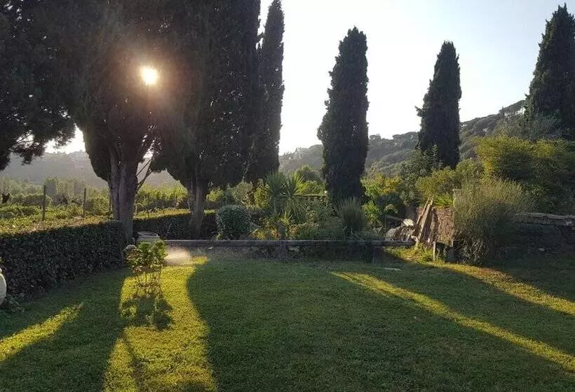 Aamiaismajoitus (B&B) Il Nido Del Falco