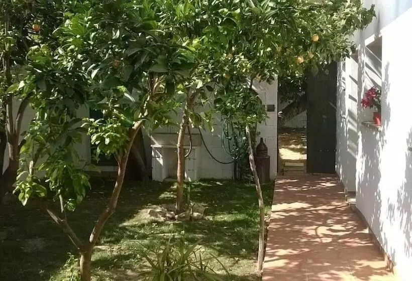 Aamiaismajoitus (B&B) Sardinia International House