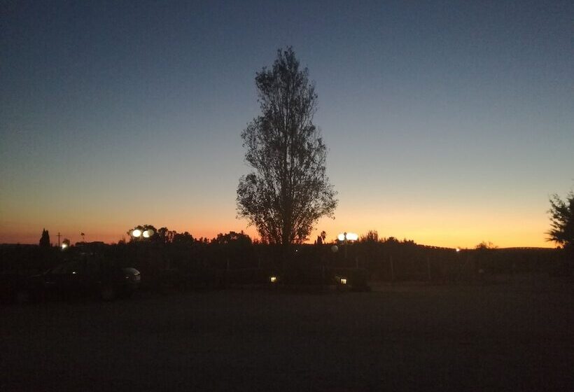 민박 Villa Delle Palme Delfina