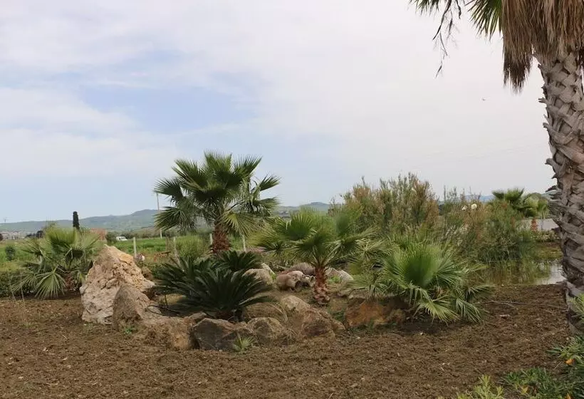 ベッドアンドブレックファースト Villa Delle Palme Delfina