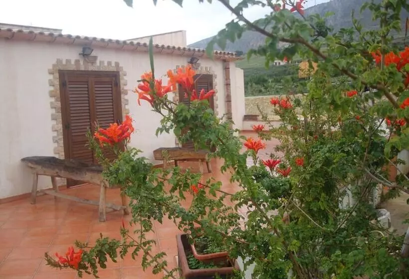ベッドアンドブレックファースト Villa Delle Palme Delfina
