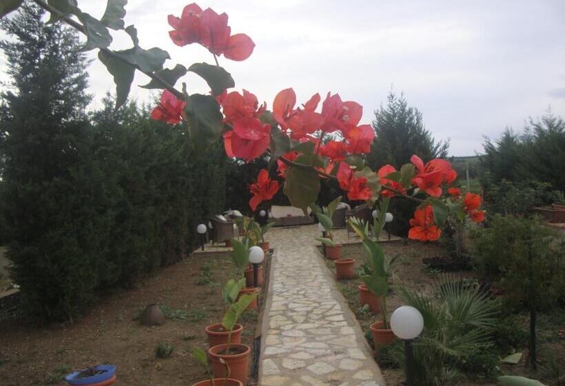 민박 Villa Delle Palme Delfina