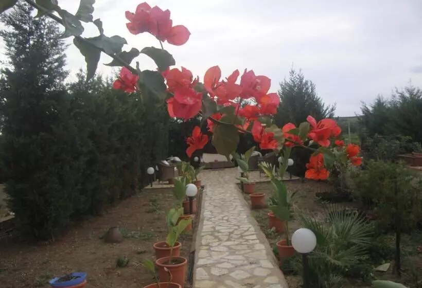 ベッドアンドブレックファースト Villa Delle Palme Delfina