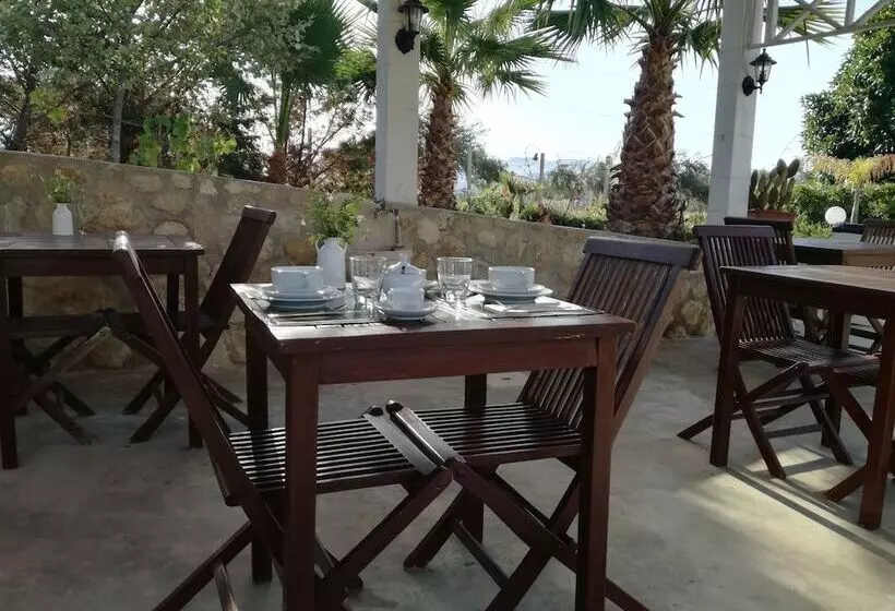ベッドアンドブレックファースト Villa Delle Palme Delfina
