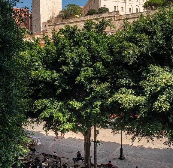 Bed and Breakfast Dome