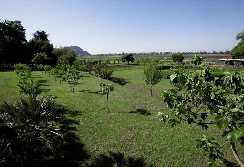 فندق ريفى La Casa Rossa