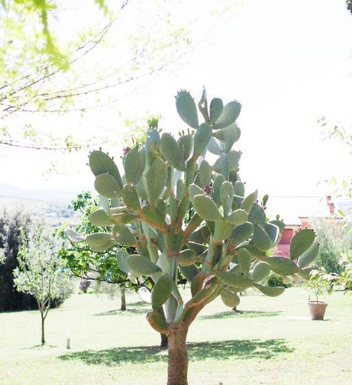 교외 호텔 Agriturismo Bio Podere Doganelle