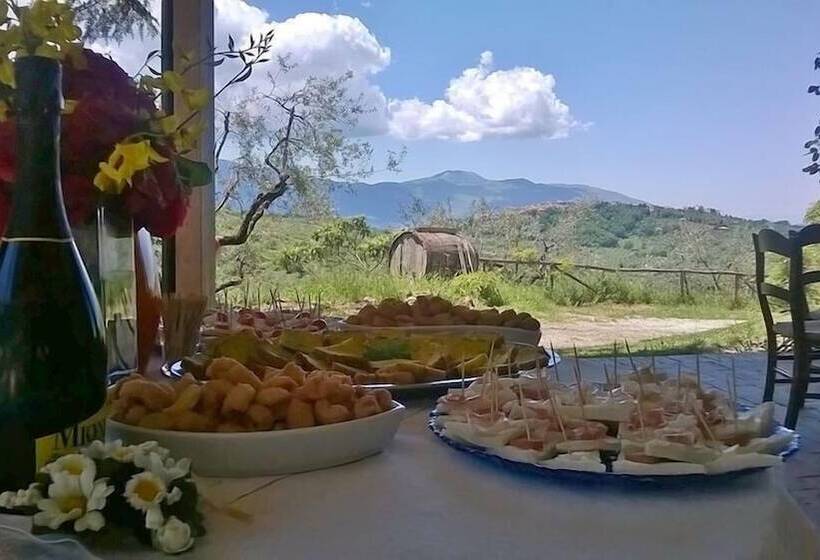 住宿加早餐  Agriturismo Villa Vea