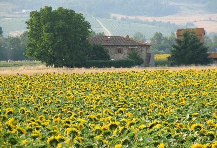 田舎風ホテル Agriturismo Poderi Minori