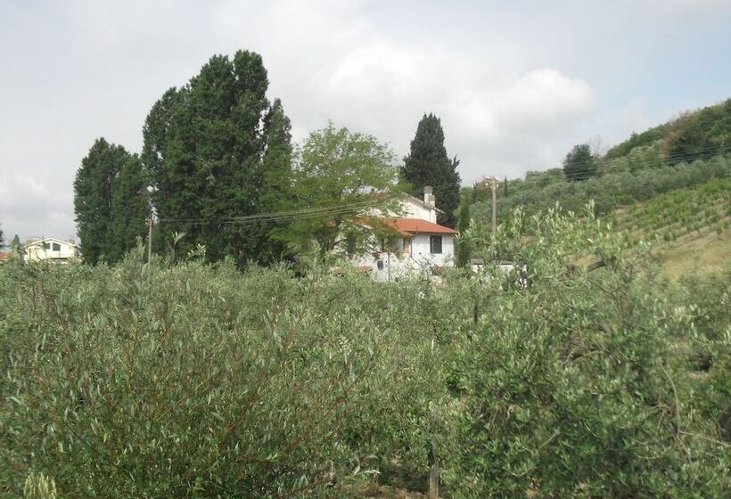 San Carlo Bed And Breakfast