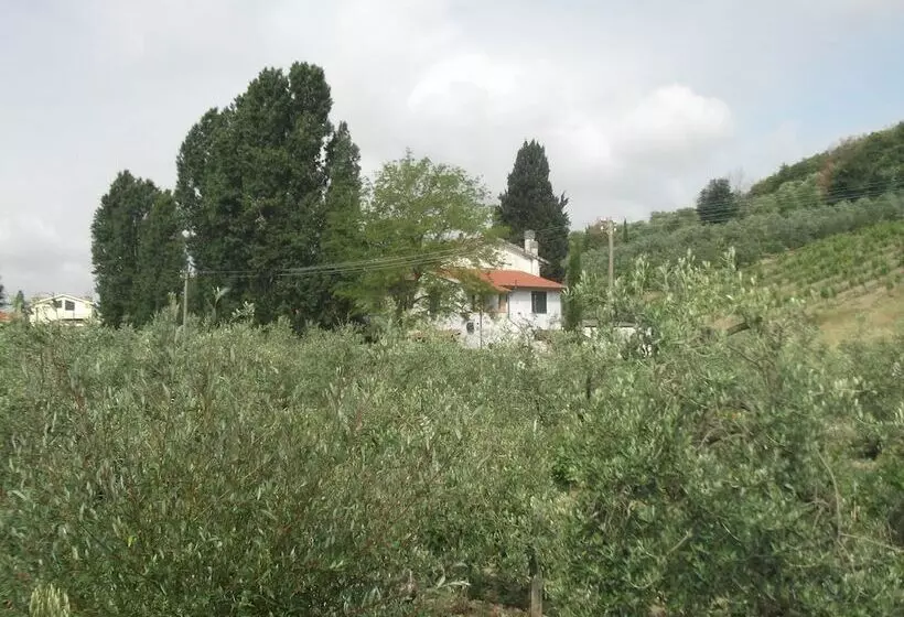 San Carlo Bed And Breakfast