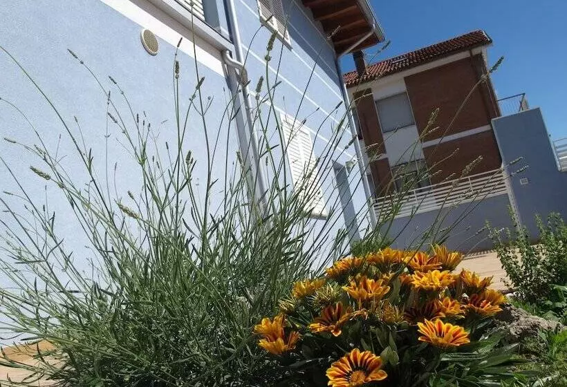 B&b Baratoff