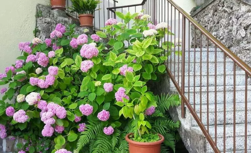 B&b Il Poggio