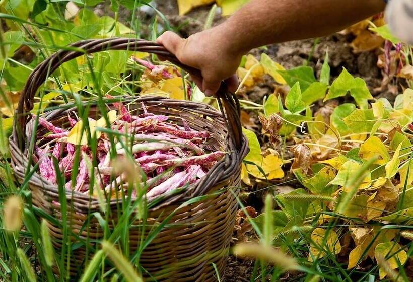 בית מלון כפרי Pie  D Ulivo