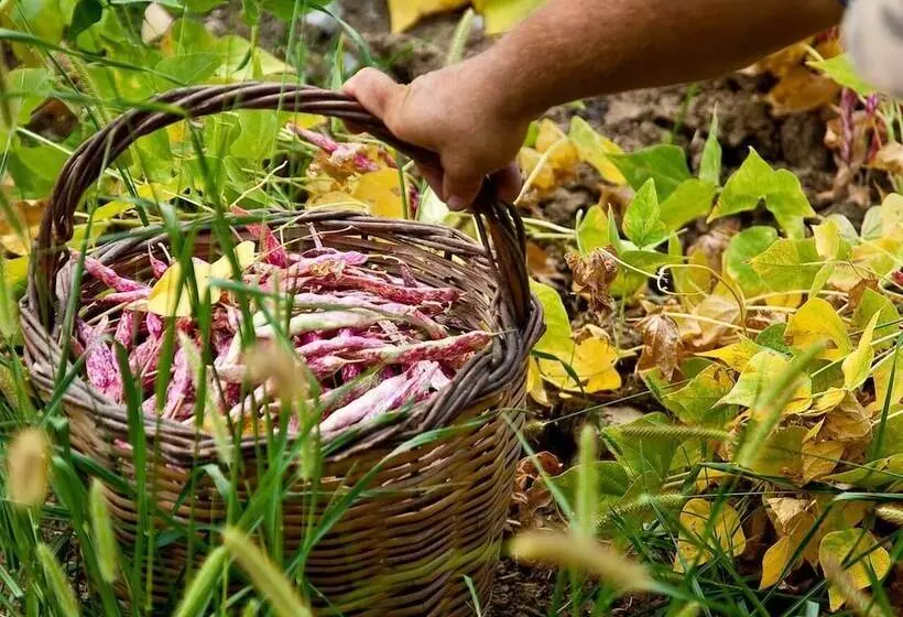 Maaseutuhotelli Pie  D Ulivo
