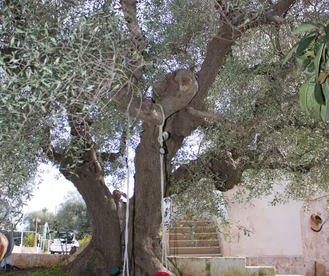 B&b Villa Nonna Maria