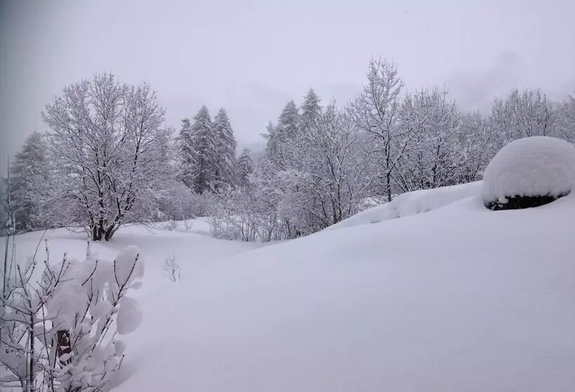 田舎風ホテル Maso Fior Di Bosco