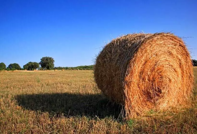 田舎風ホテル Valle Martina