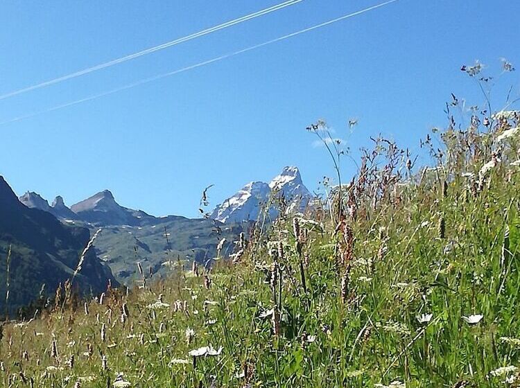 بنسيون Rifugio Vieux Crest
