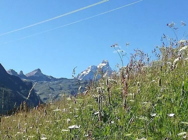 پانسیون Rifugio Vieux Crest