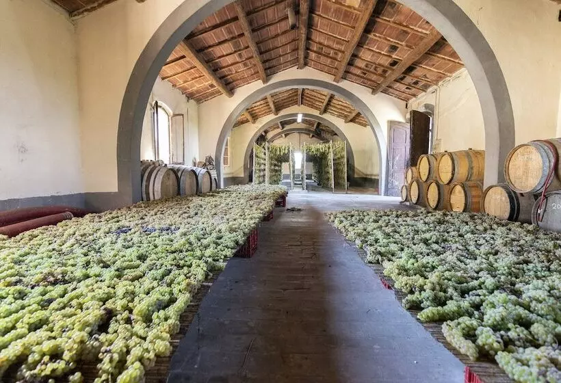 田舎風ホテル Fattoria Lornano Winery