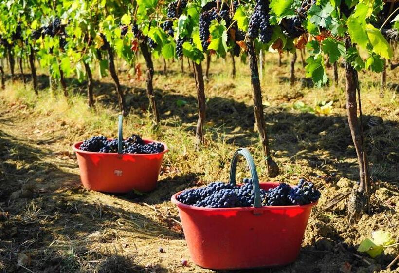 בית מלון כפרי Fattoria Lornano Winery